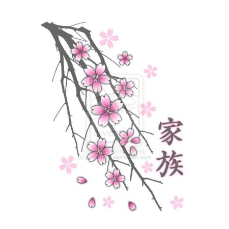 Сакура карандашом