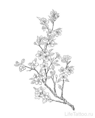 Сакура тату эскизы