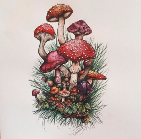 Тату грибочек