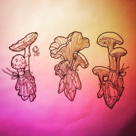 Грибы эскиз