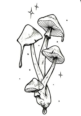 Эскизы грибов тату