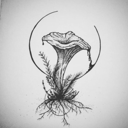 Эскизы грибов тату