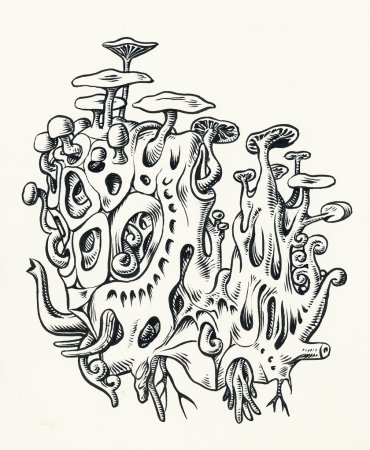 Грибы Графика