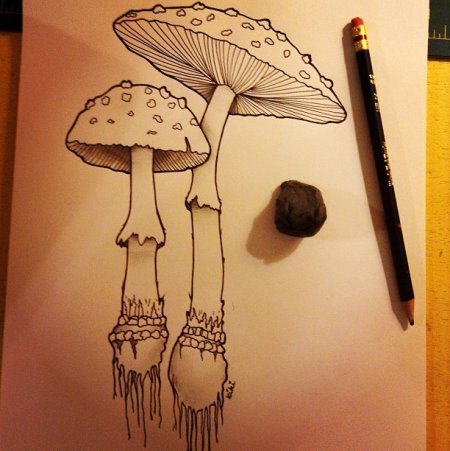 Грибы тату эскиз