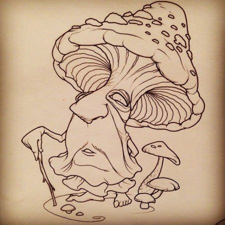 Грибы эскиз