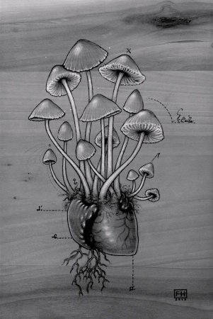 Грибы псилоцибин референс