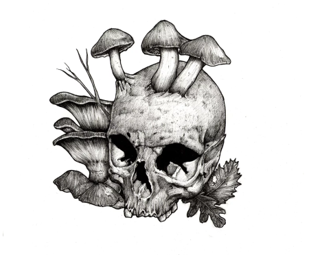 Грибы тату эскиз