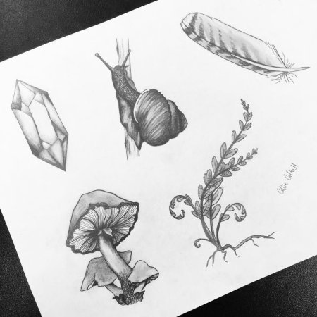 Грибы тату эскиз