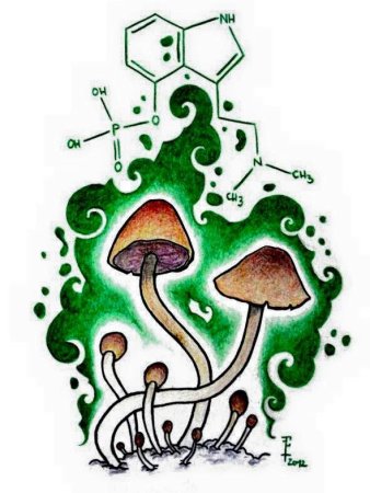 Псилоцибиновые грибы тату