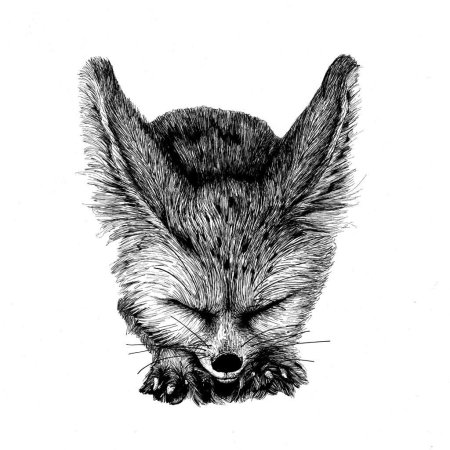 Fennec Fox тату