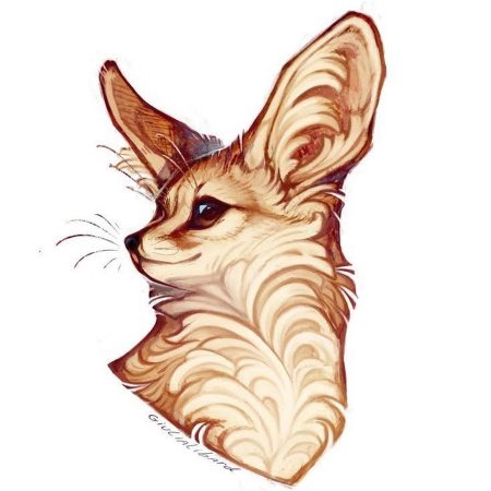 Чиффа из Кеттари лиса