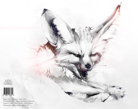 Фенек лиса Наброски