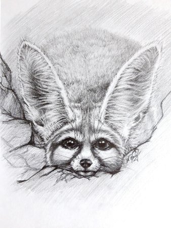 Тату фенек лиса эскизы