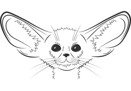 Фенек раскраска