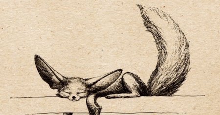 Фенёк рисунок простой