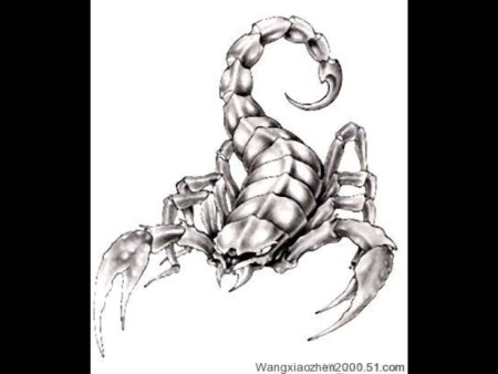 Скорпион тату эскиз