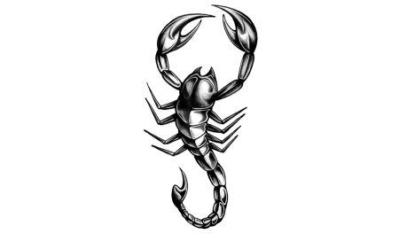 Татуировка Скорпион для девушки эскизы