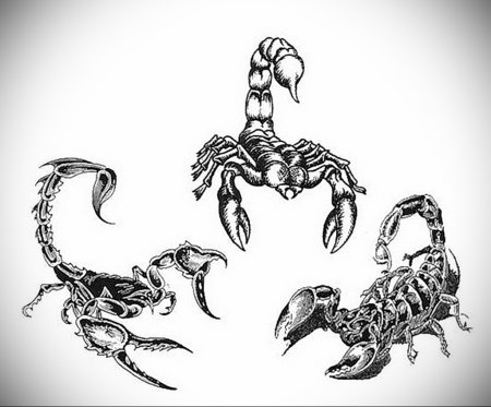 Тату Скорпион для девушек эскизы