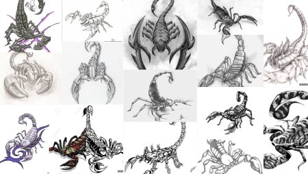 Тату Скорпион эскизы 3d