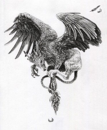 Грифон тату