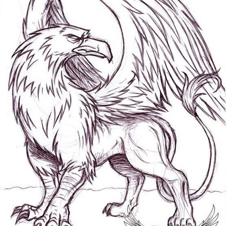 Зарисовки грифона