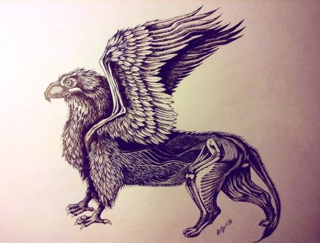 Грифон Графика