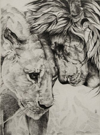 Лев и львица эскиз