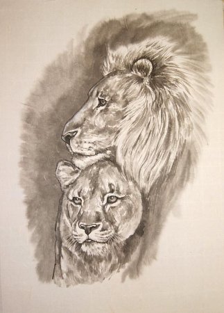 Лев и львица эскиз