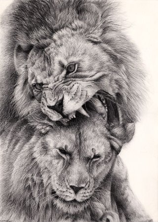 Тату семья Львов