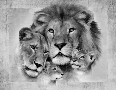 Тату Семейство львов со львенком - значение и фото
