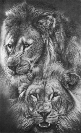 Тату два Льва