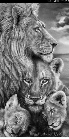 Картина Лев львица и Львенок