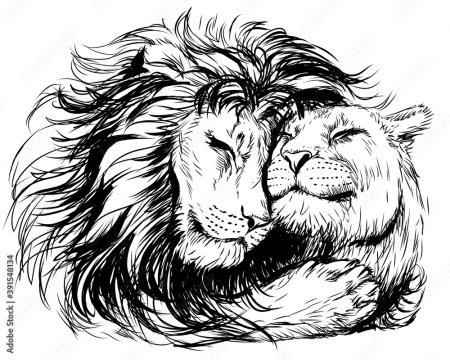 Лев и львица