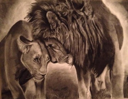 Лев и львица рисунки тату (44 фото)