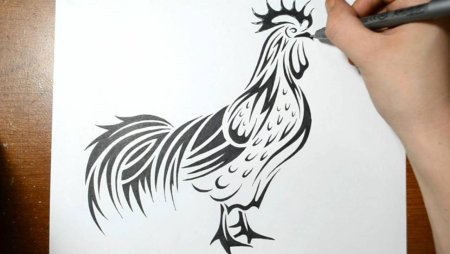 Петух рисунок карандашом тату