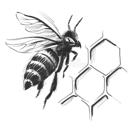 Пчела с сотами контур