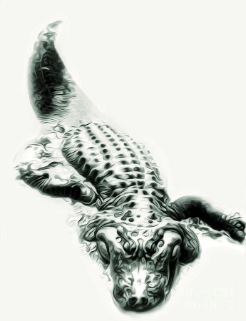 Аллигатор тату эскиз