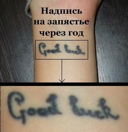 Визитки для наращивания ресниц и брови