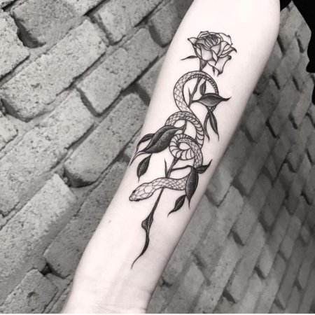 Тату змея с розой