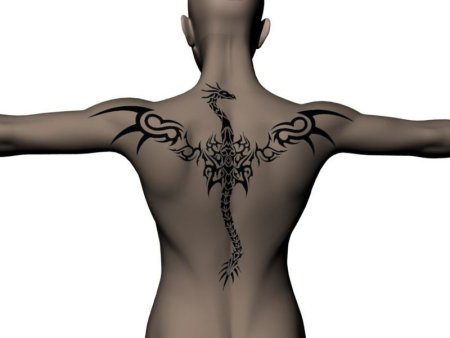 Тату на спине рисунок