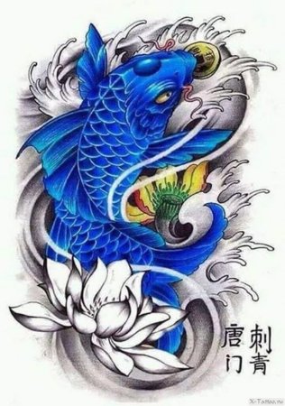 Карпы кои Инь и Янь