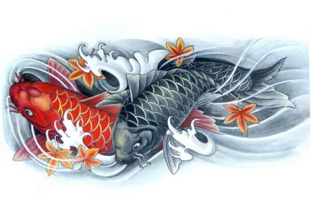 Карпы кои Инь и Янь