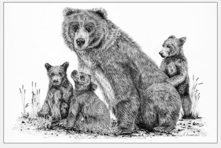 Медведица с медвежатами черно белая