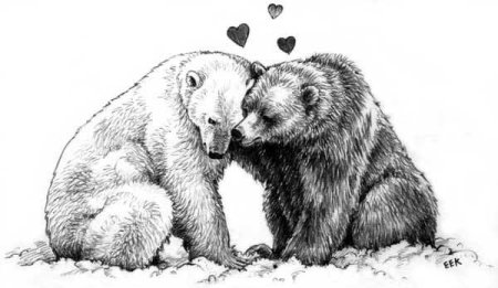 Медведица с медвежатами карандашом