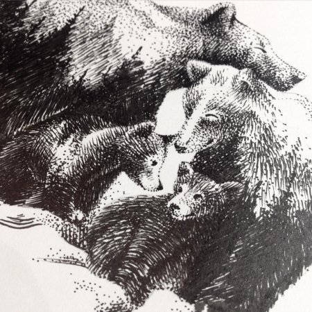 Медведь с медведицей и медвежатами тату эскиз