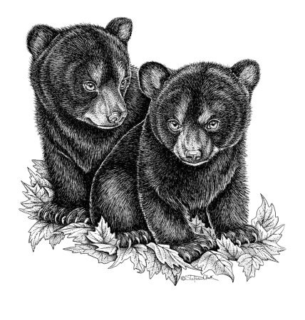 Эскиз тату девушка с медведем