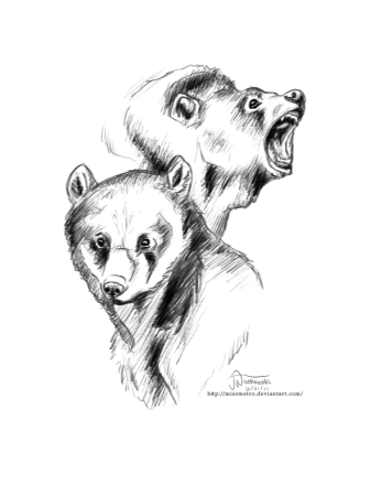 Тату медведь с медведицей