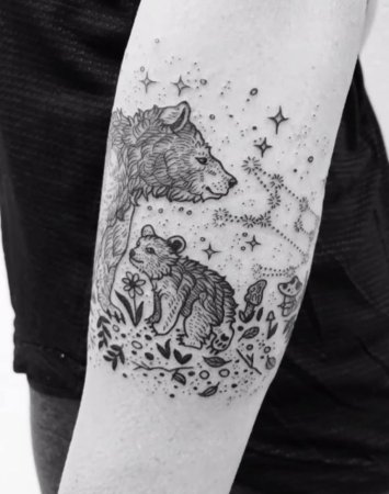 Медведица карандашом