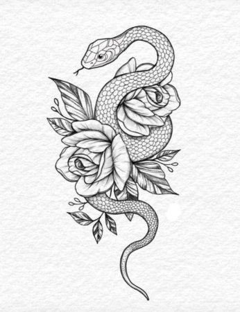 Змея эскиз