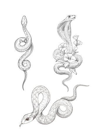 Змея эскиз